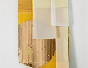 Sem título, 2003 | Papelão, papel vegetal, fita adesiva, tinta acrílica | 75X38cm