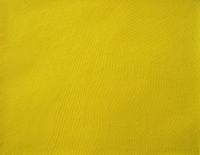 Sem título, 2007 | Fita isolante sobre papel | 80X98cm